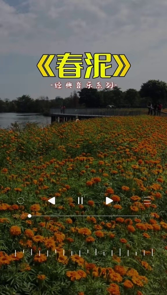 多想提起勇气好好地呵护你,不让你受委屈苦也愿意 #春泥 #经典音乐