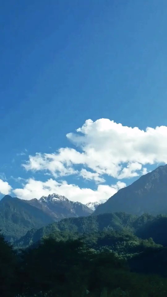 高原蓝 歌手:乌兰图雅 - 专辑:凤凰飞