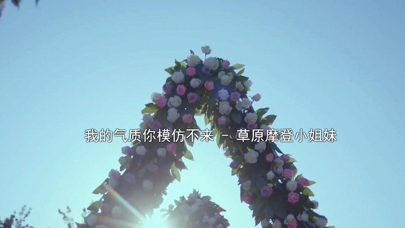  - 抖音热歌《我的气质你模仿不来》，欢快的节奏瞬间点燃我的少女心