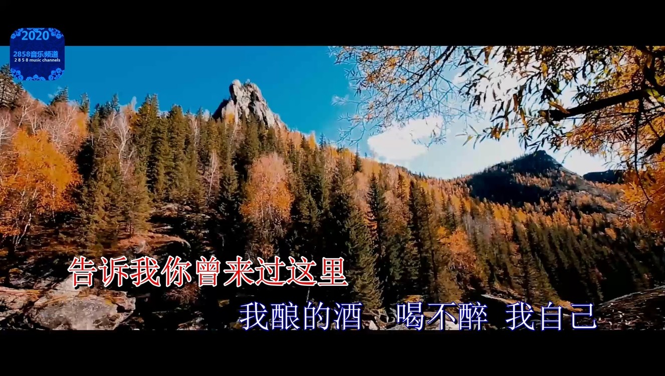 王琪- 可可托海的牧羊人