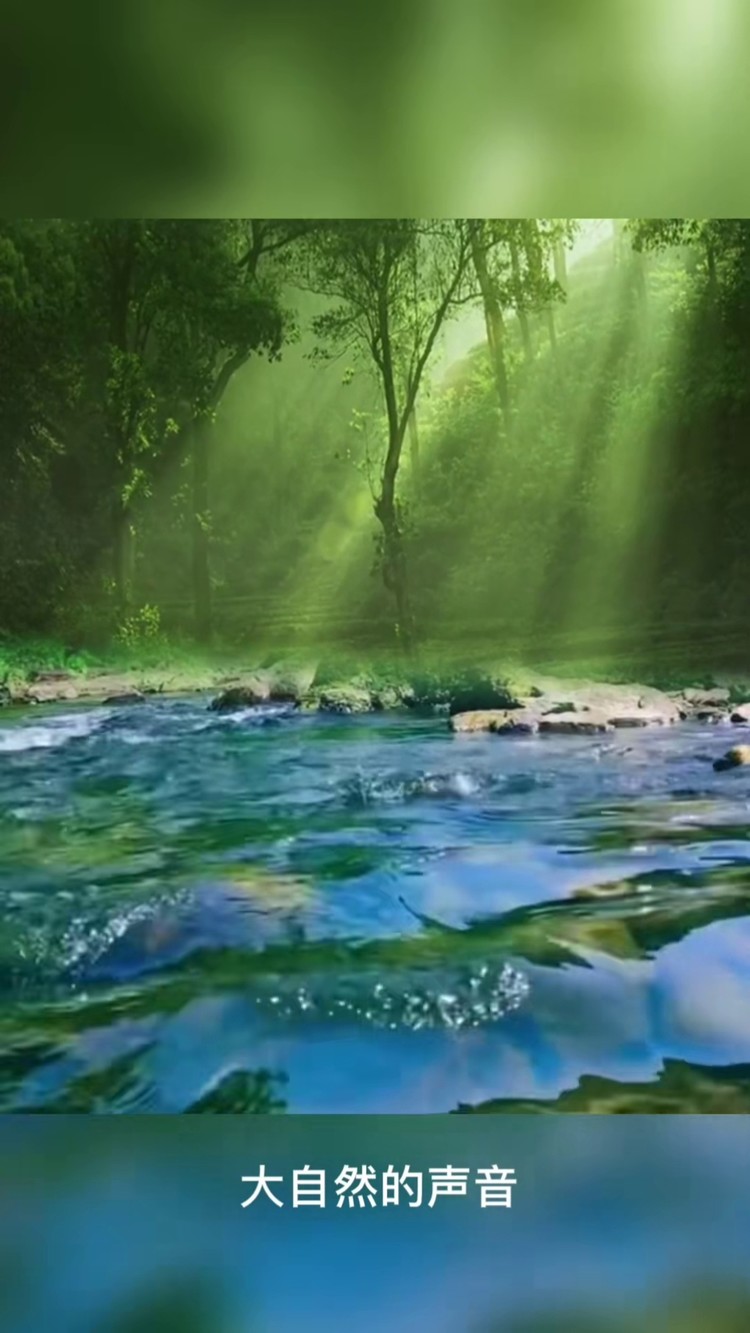 大自然的声音 山间小溪流水声鸟鸣声#聆听大自然的旋律 #一起享受大