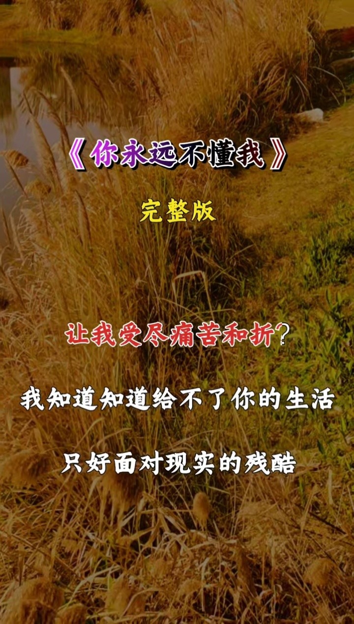乔丽娜一首伤感情歌《你永远不懂我》唱出了对爱情的无奈与失望-高清