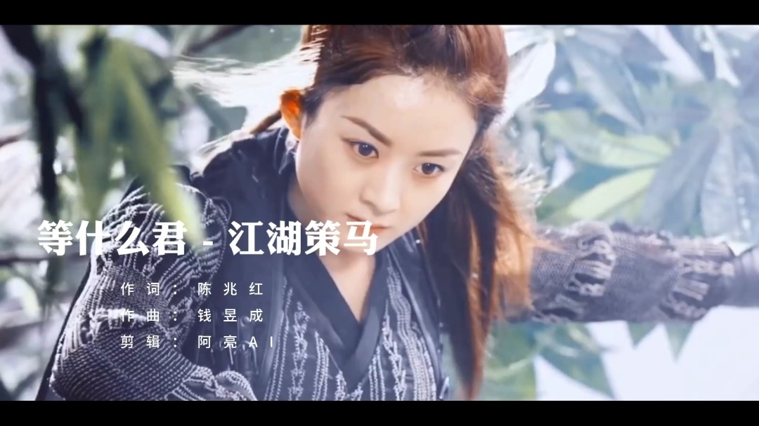 等什么君《江湖策马》,生为过客,死做归人.