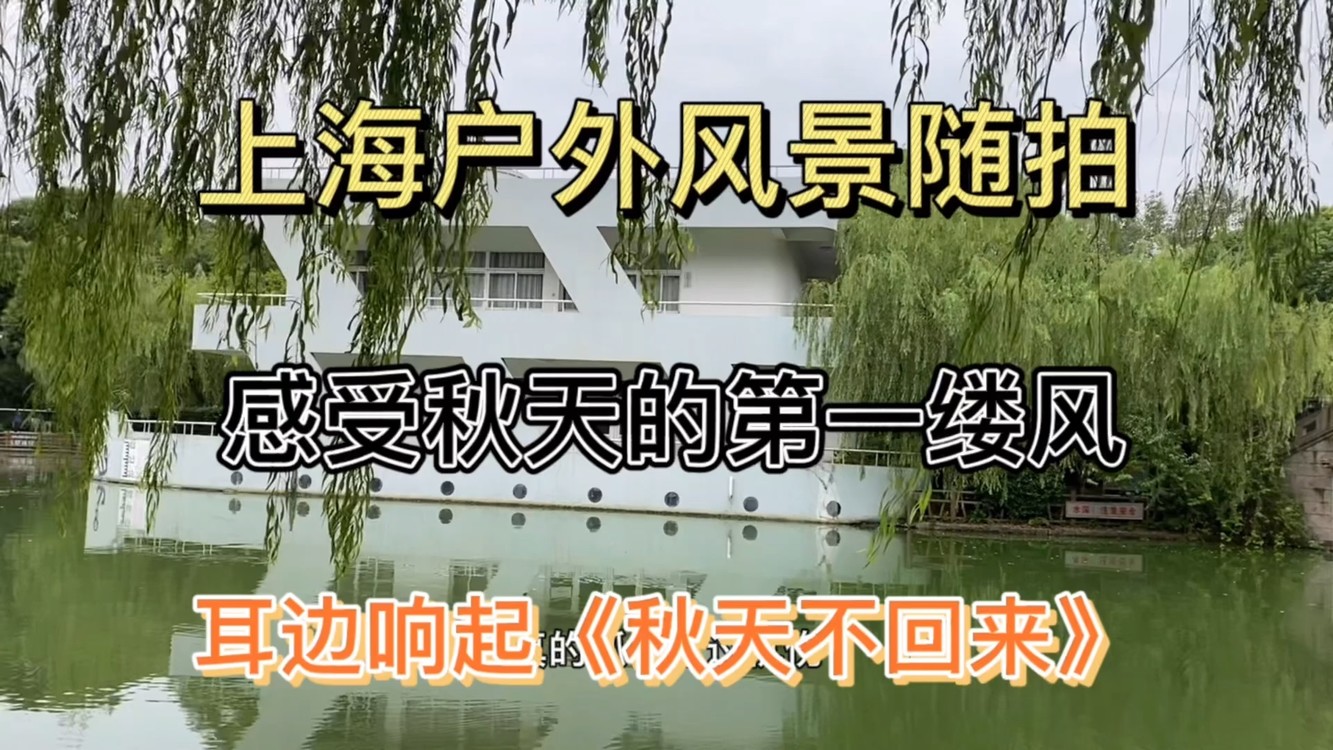 - 上海户外风景随拍,感受秋天的第一缕风,耳边响起《秋天不回来》