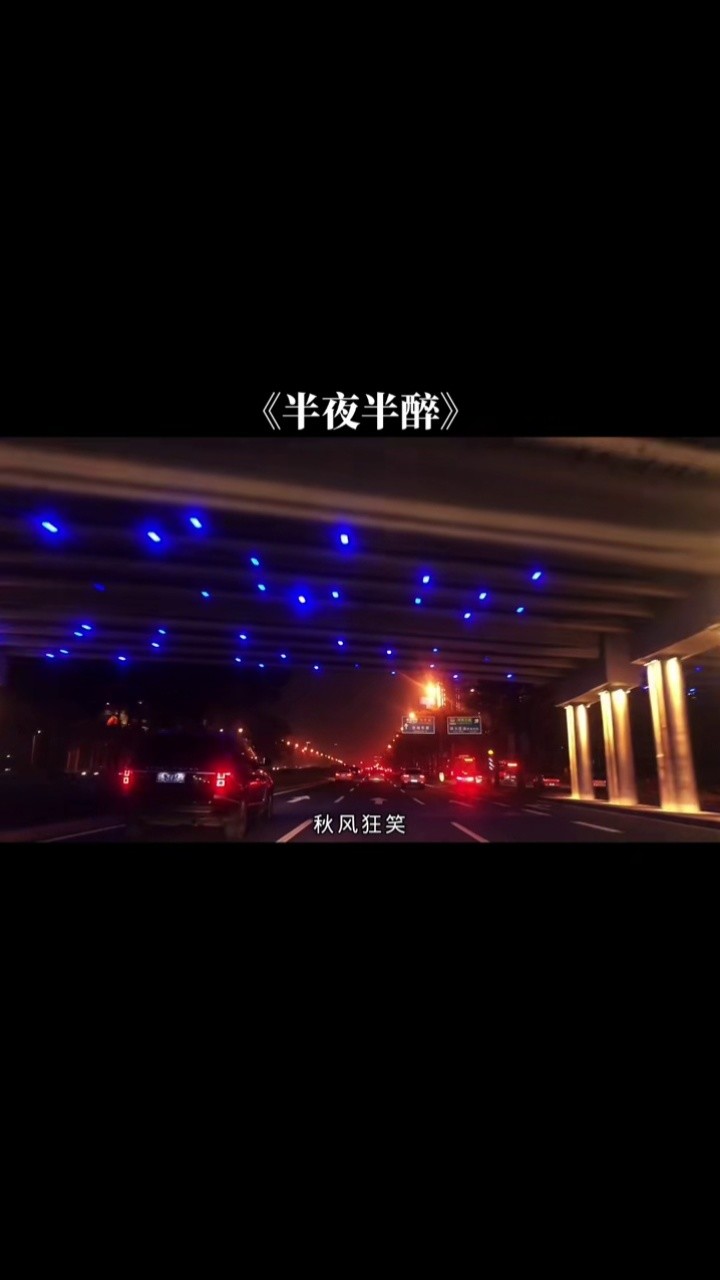 蹉跎歲月情未盡,一杯濁酒臥他鄉#歌曲半夜半醉