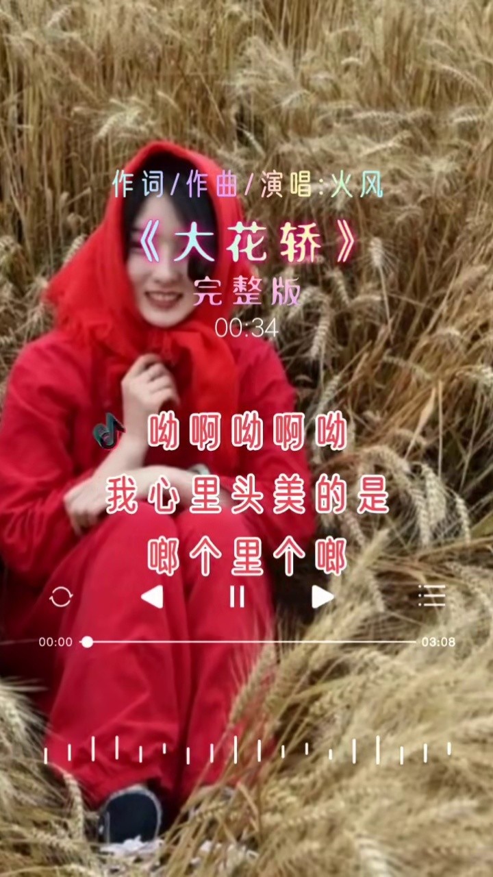 歌曲大花轿(歌曲大花轿视频)