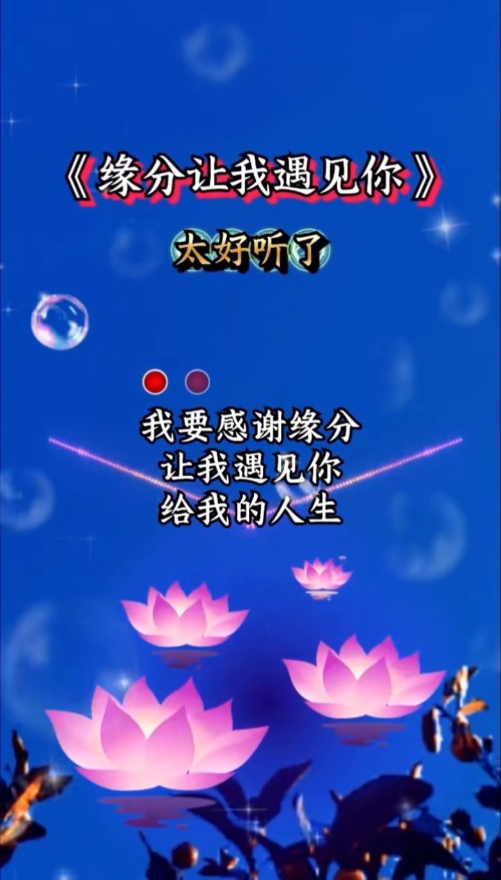不后悔爱过你 我要感谢缘分,让我遇见你……#伤感音乐 #热门 #情 