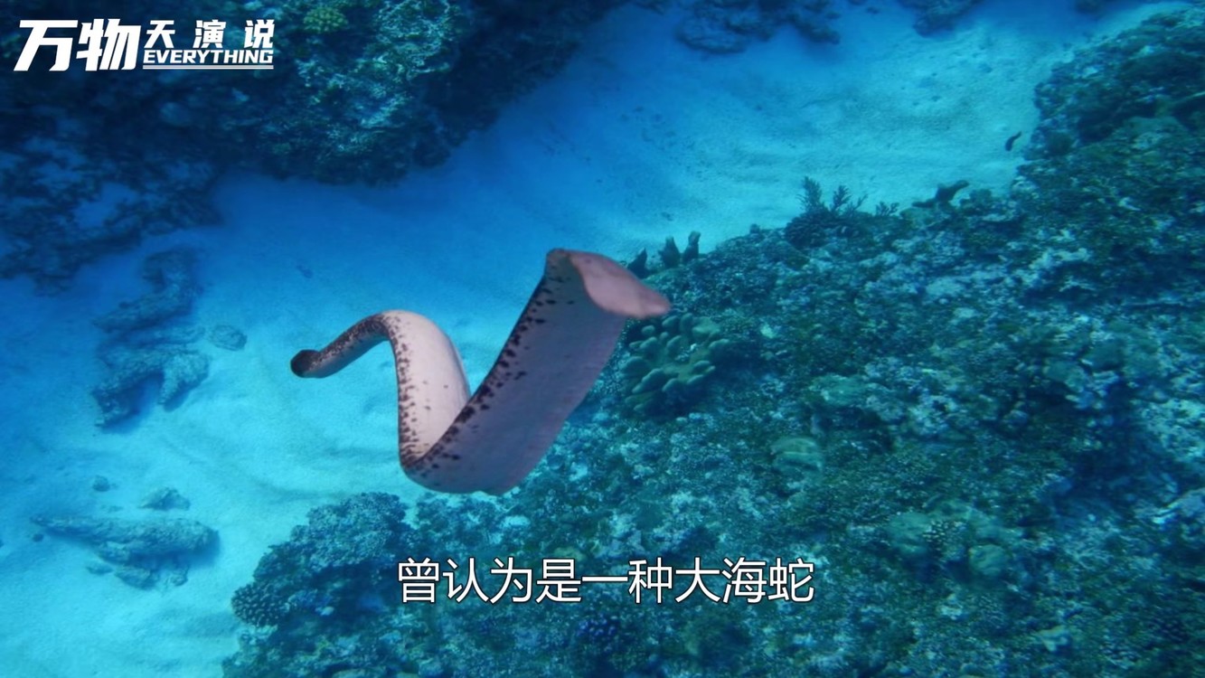 #两只老虎-高清mv在线看-qq音乐-千万正版音乐海量无损曲库新歌热歌天