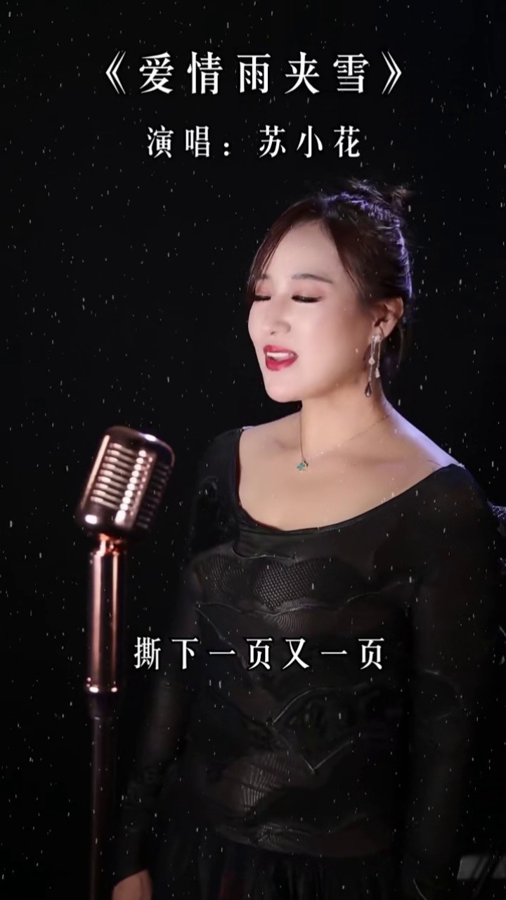 一首真心爱你从此携手一起到海枯石烂