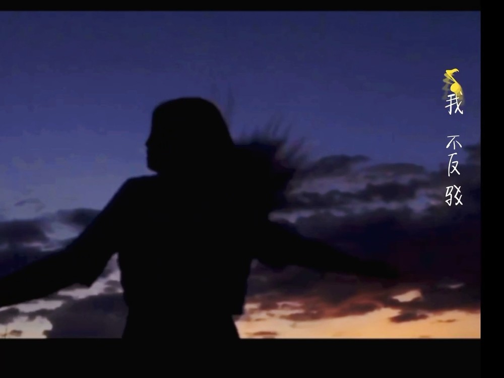 - 你所见即我 我不反驳❤️