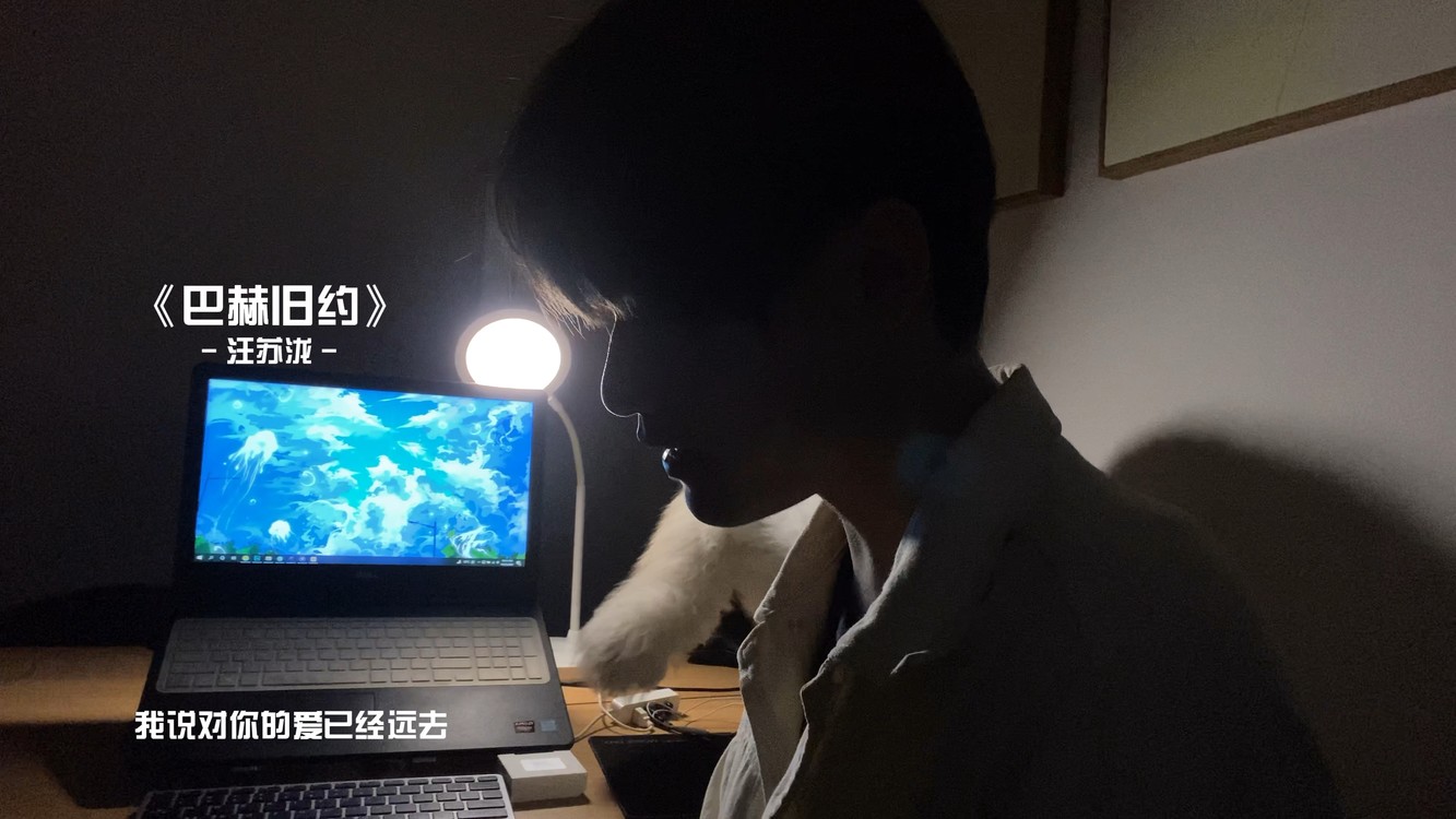 伤感怀旧 | 《巴赫旧约》