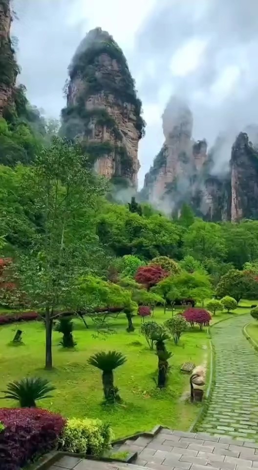  - 大自然的声音，才是最美的乐章。