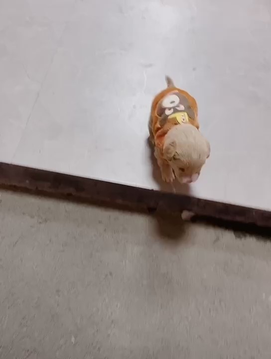  - 心情很糟糕