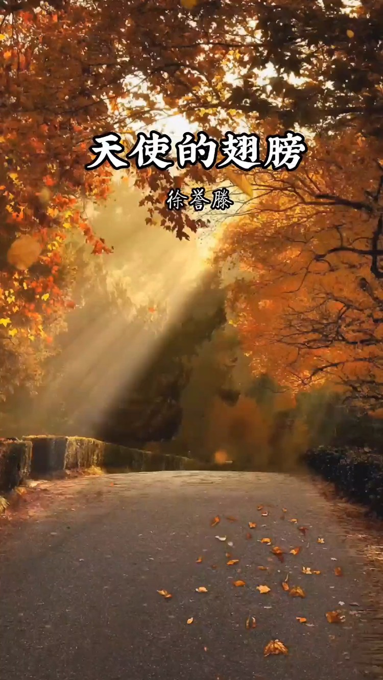 天使的翅膀 angels wing	徐誉滕