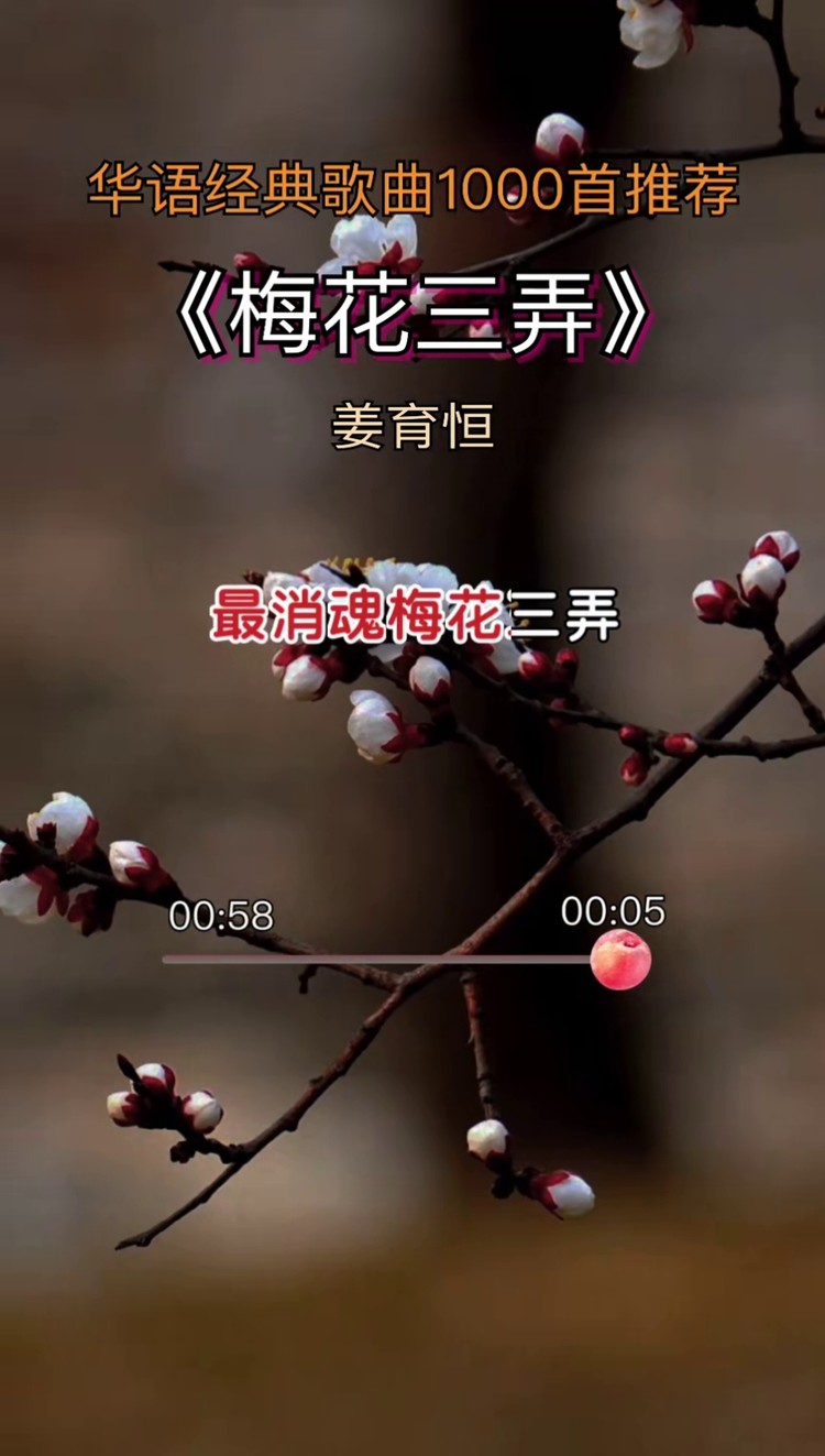 影视经典音乐之梅花三弄