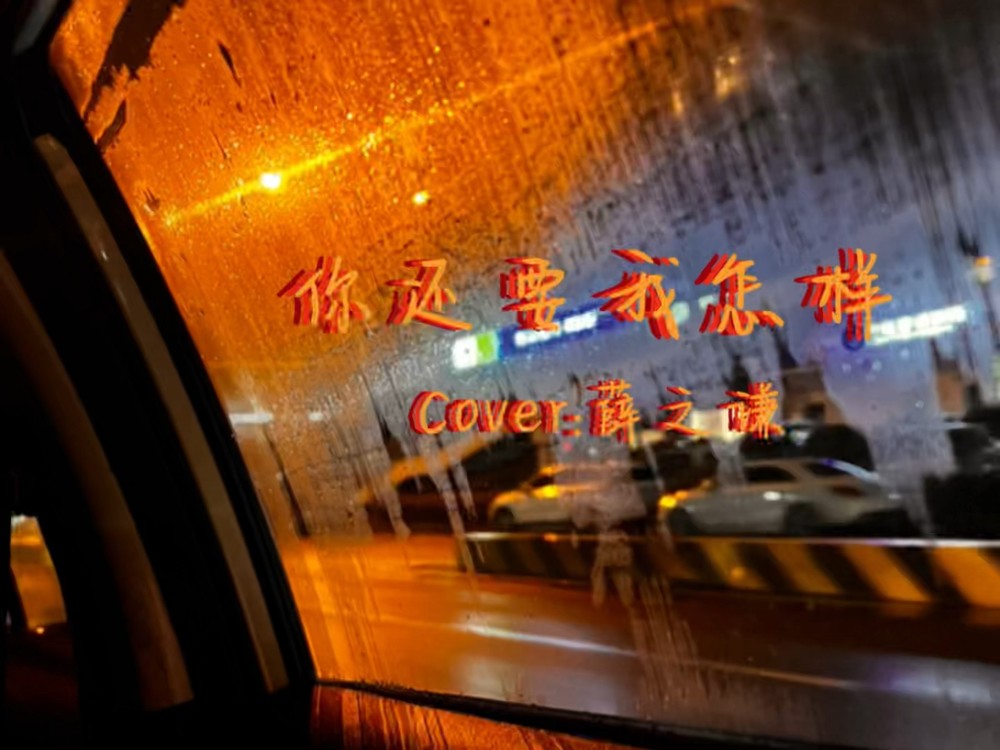  - 你还要我怎样（吉他女声）