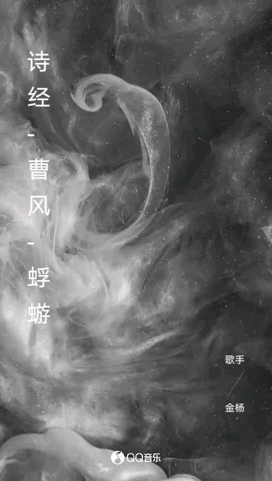  - 蜉蝣之羽