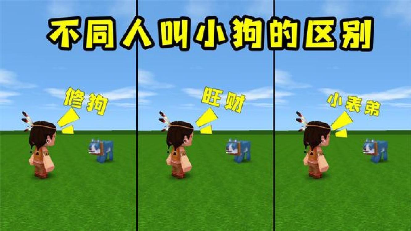  - 迷你世界六周年：盘点路上遇到狗的5种人，看看你们都属于第几种