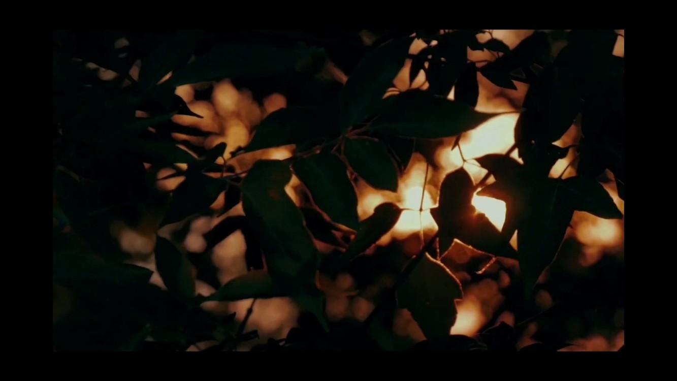  - 困住我的究竟是什么