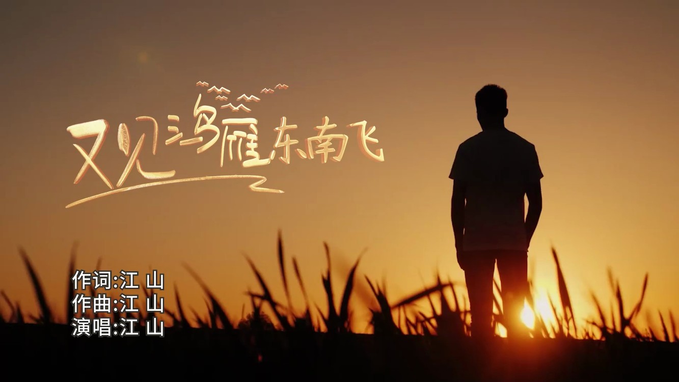  - 又见鸿雁东南飞MV