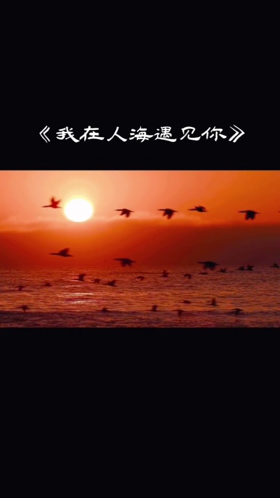 我在人海遇见你  我在人海遇见你 却又转身不见你 多少话还没出口只