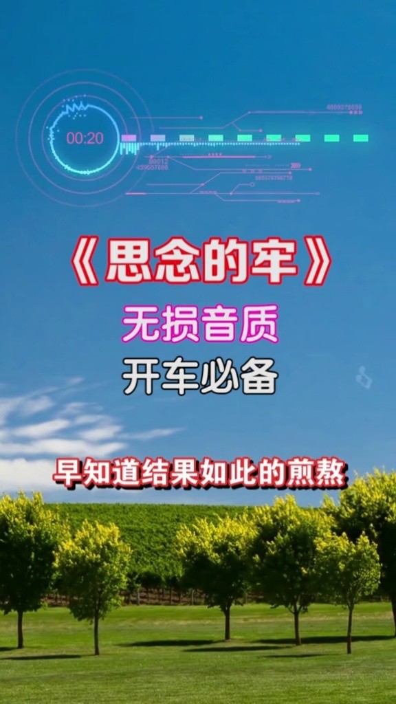 终究一个人扛下了所有 #思念的牢  #音乐  #车载音乐u盘