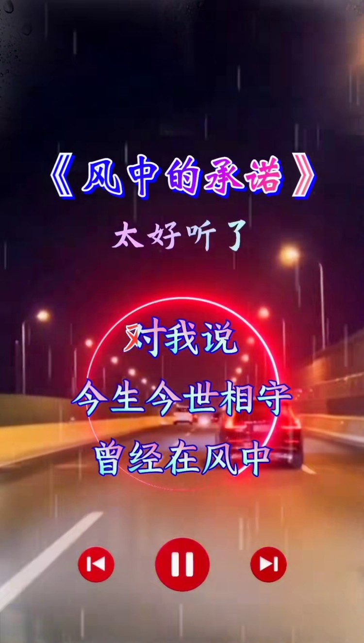 伤感音乐 #风中的承诺 #经典老歌 #好听音乐