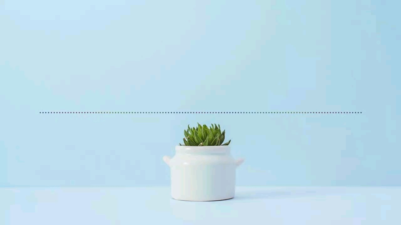  - 超级好听夏天的专属情歌