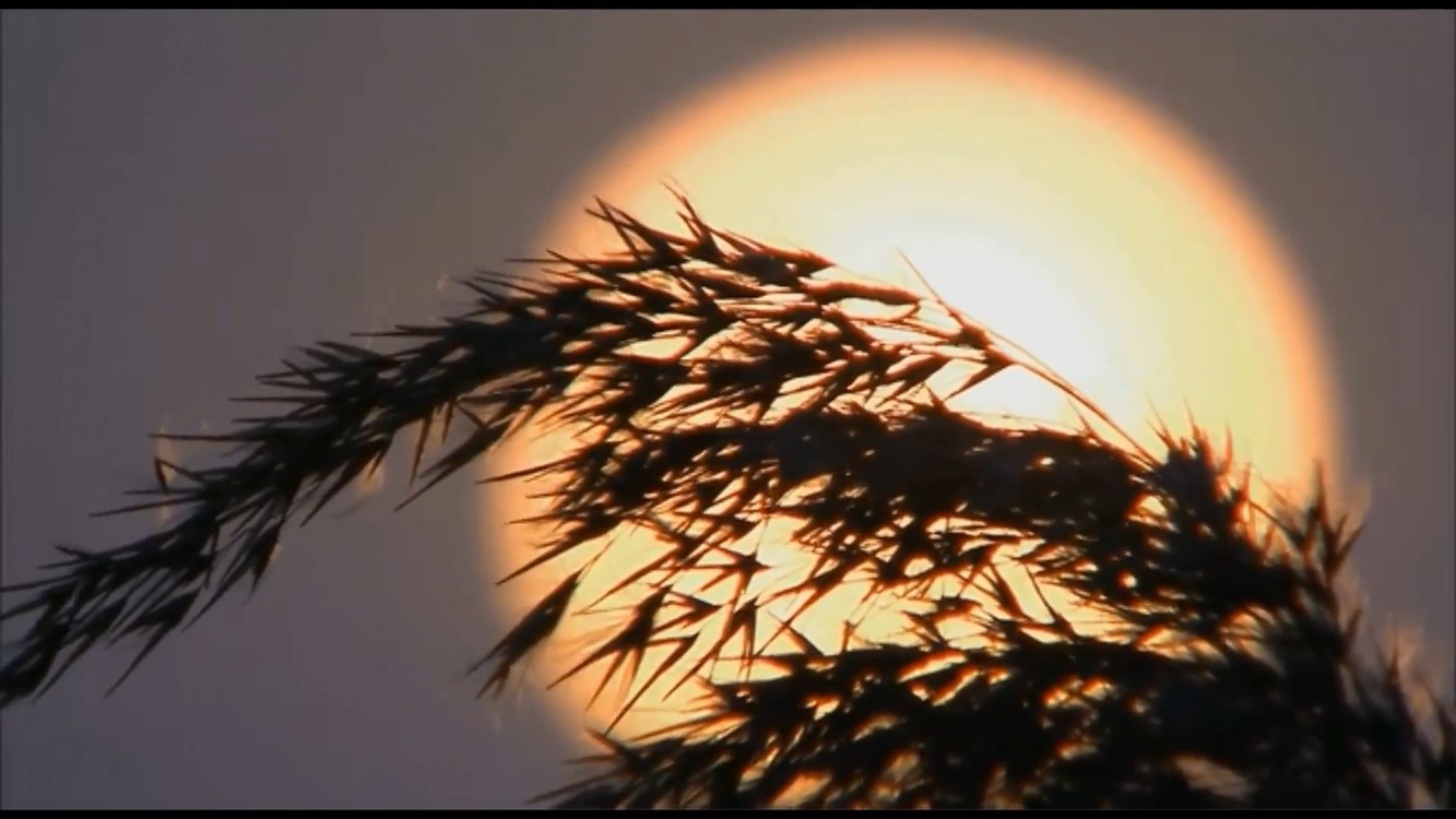 - 我与成长,至死方休《One Last Time》 强子