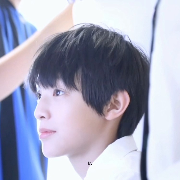 张泽禹focus为你我受冷风吹