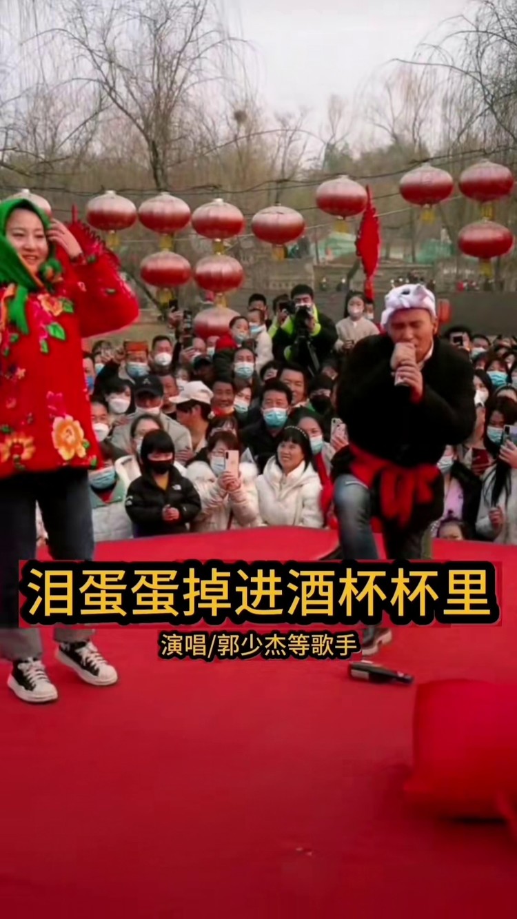 歌曲泪蛋蛋掉在酒杯杯里