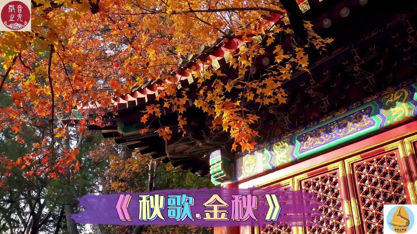  - 乐道五音文化歌曲养生音乐《秋歌.金秋》