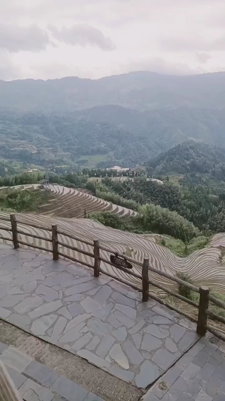  - 火羊瞌睡了-《夏天的风》抖音热门翻唱