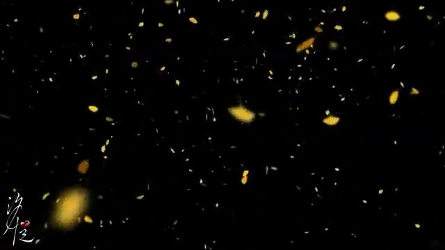  - 等一个人是会上瘾的