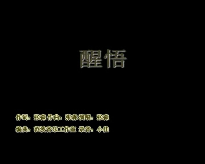  - 张森佛教音乐（醒悟）