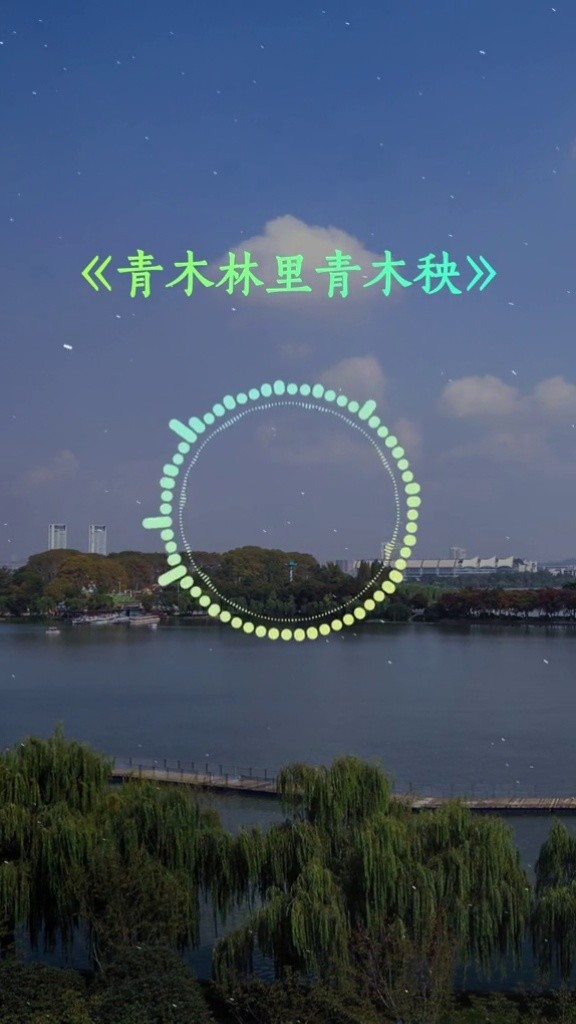 青木林里青木秧 纯音乐 完整版