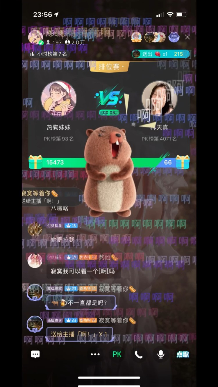  - 回忆专用小马甲