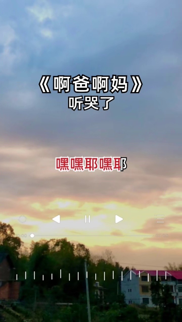 爱音乐爱生活, #最怕听懂一首歌 #阿爸阿妈@好听音乐