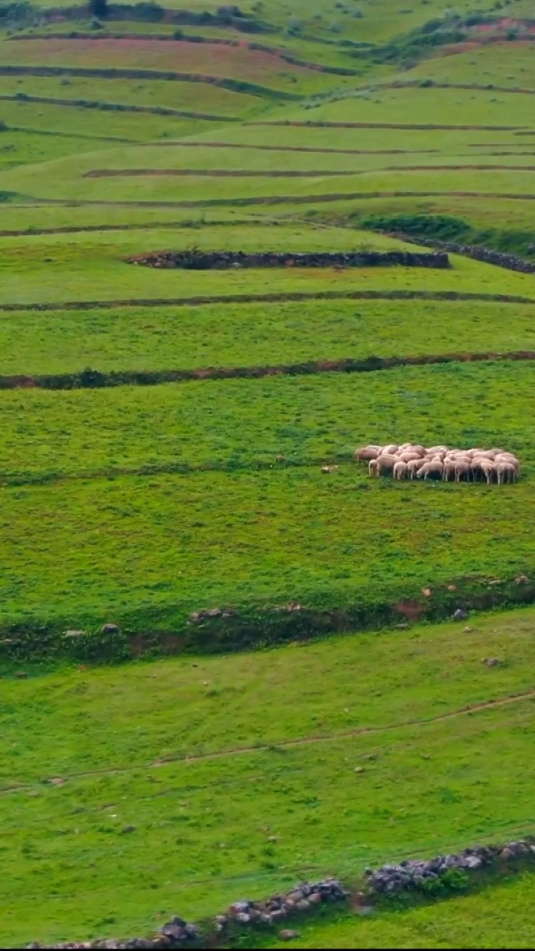 - 孤单是枕畔梦影,寂寞是窗前明月《何时用你入怀中》