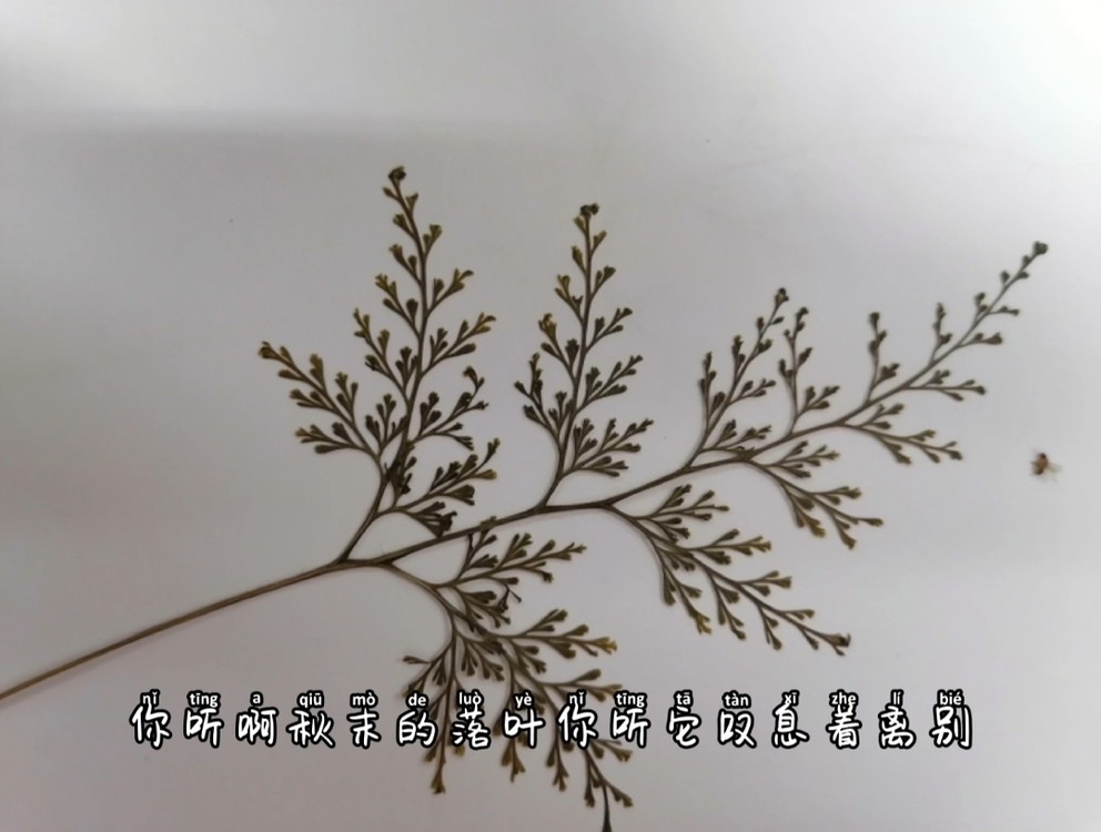  - 冬眠