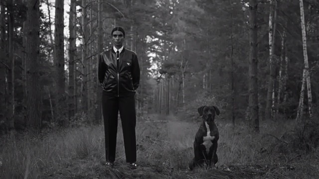  - SEVDALIZA - HABIBI