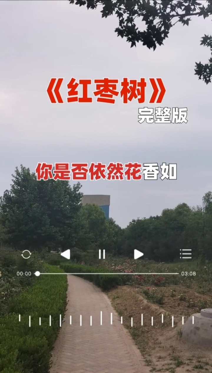 红枣树经典歌曲完整版