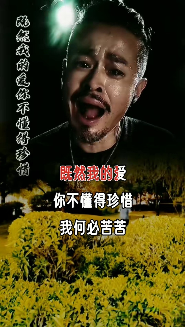 我要戒掉不再想你,既然我的爱你不懂得珍惜,我又何必苦苦为难我自己.