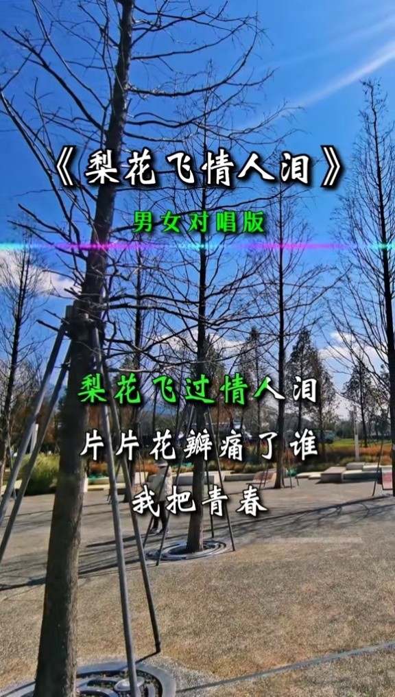 情歌对唱#梨花飞情人泪#完整版
