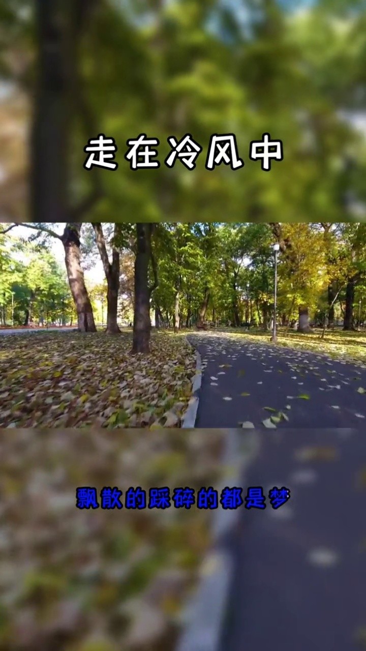 翻唱走在冷风中