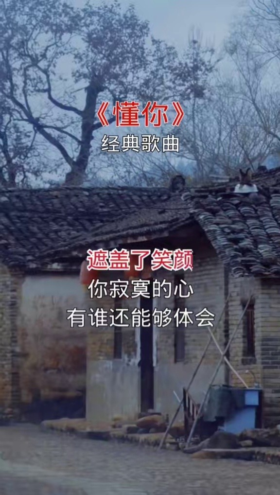 这是我听过原唱以来最好听的一个版本#情感音乐 #懂你 #经典老歌