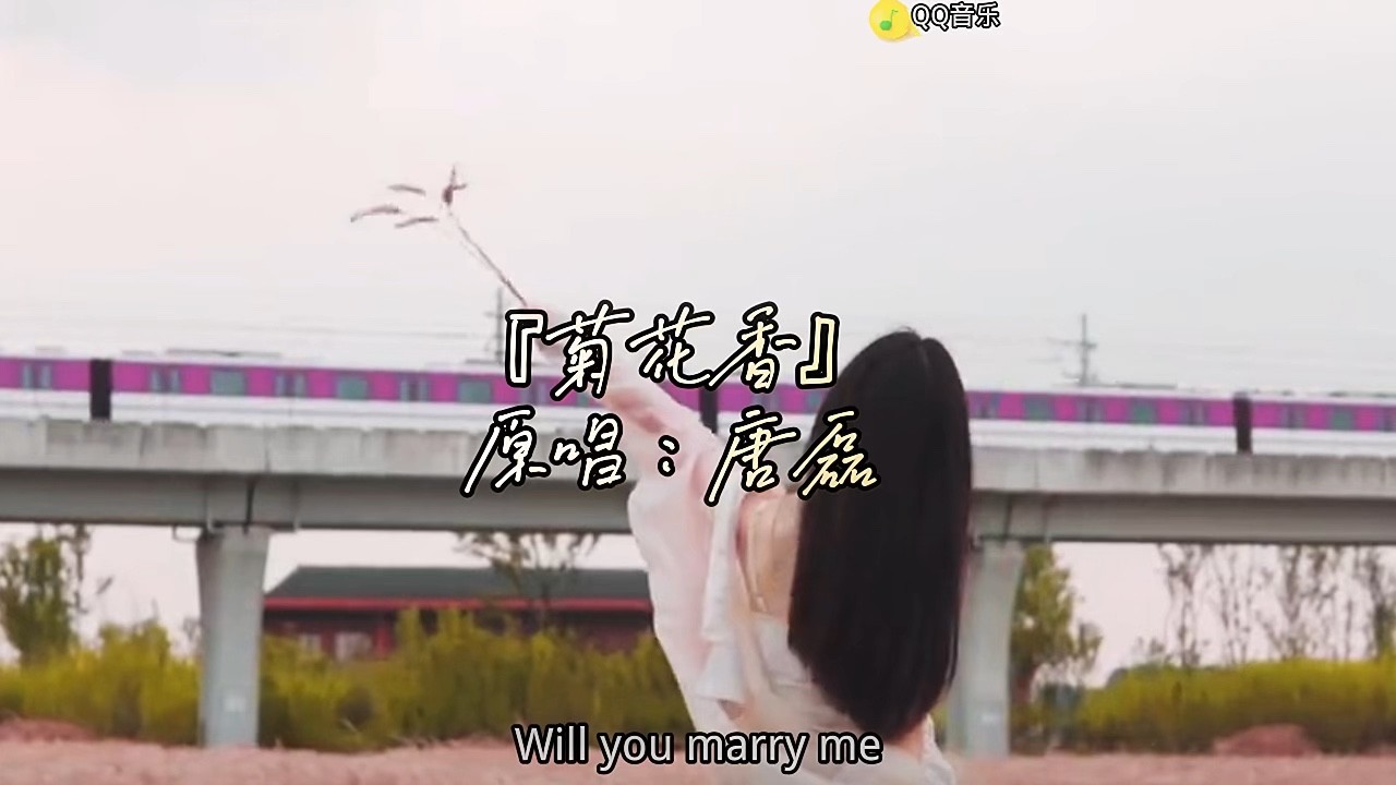  - 菊花香