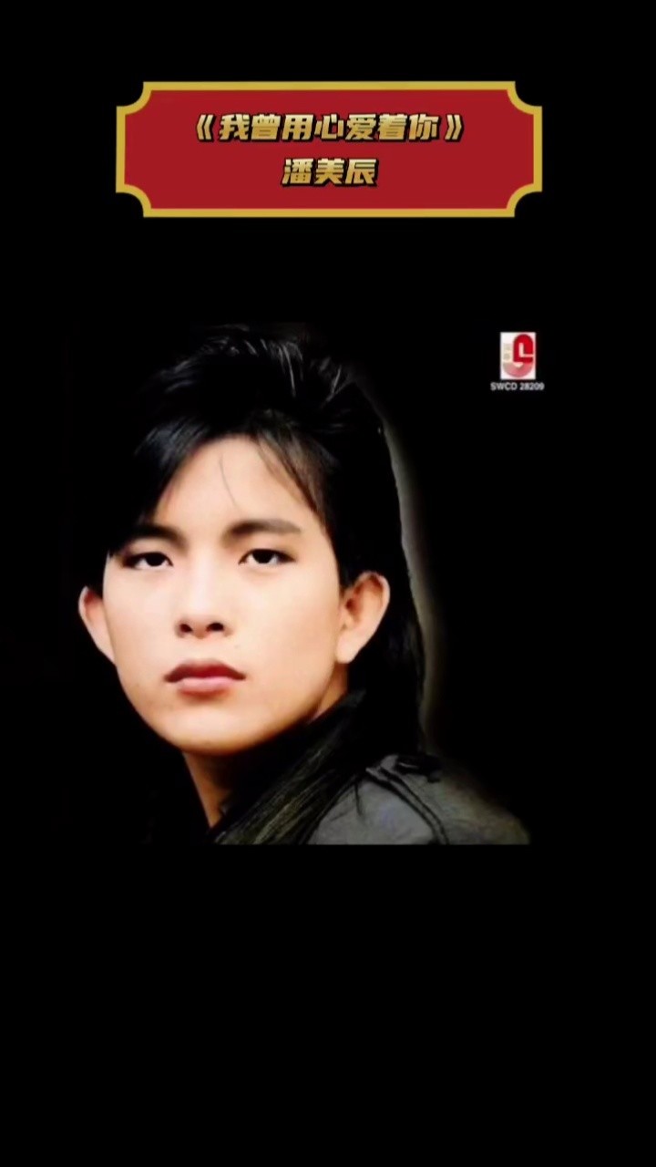 潘美辰《我曾用心爱着你》#怀旧金曲珍藏 #一首歌一段回忆