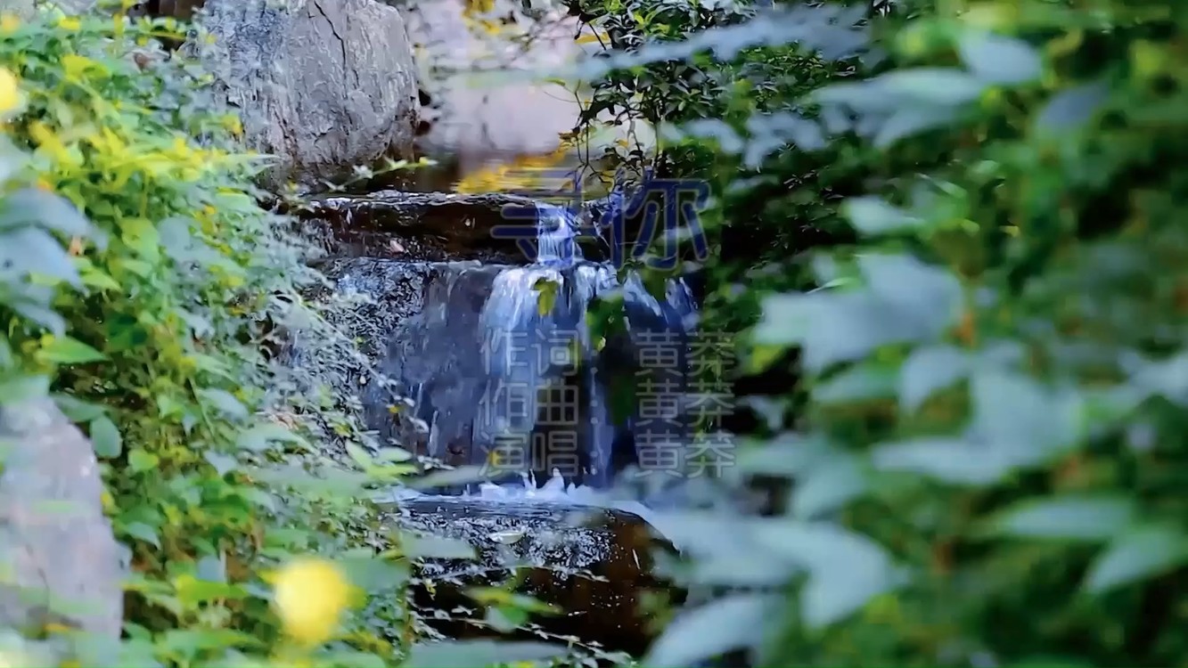  - 黄莽《寻你》MV