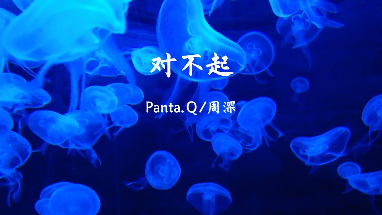  - 是对不起还是“对不起”